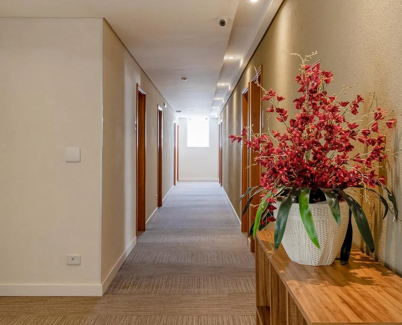 Hotel Cisne São Paulo Brasil